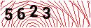 Security Verification