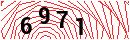 Security Verification