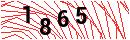 Security Verification