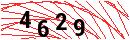 Security Verification