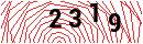 Security Verification