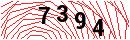Security Verification