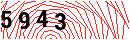 Security Verification