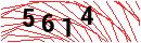 Security Verification