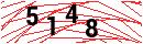 Security Verification