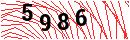 Security Verification