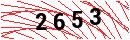 Security Verification