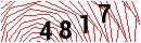 Security Verification