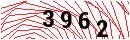 Security Verification