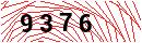 Security Verification
