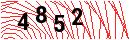 Security Verification