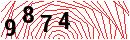 Security Verification