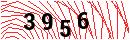 Security Verification