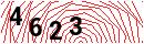 Security Verification
