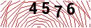 Security Verification