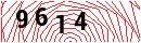 Security Verification