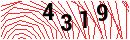 Security Verification