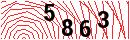 Security Verification