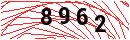 Security Verification