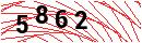 Security Verification