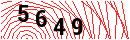 Security Verification