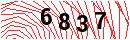 Security Verification