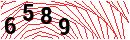 Security Verification