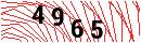 Security Verification