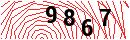 Security Verification