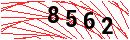 Security Verification