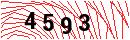 Security Verification