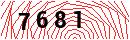 Security Verification