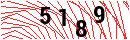 Security Verification