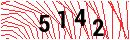 Security Verification