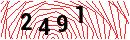 Security Verification