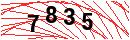 Security Verification