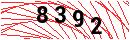 Security Verification