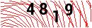 Security Verification