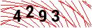 Security Verification