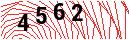 Security Verification