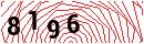 Security Verification