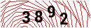Security Verification