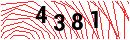 Security Verification
