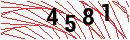Security Verification