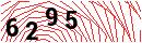 Security Verification