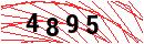 Security Verification