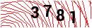 Security Verification