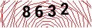 Security Verification
