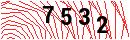 Security Verification