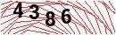 Security Verification